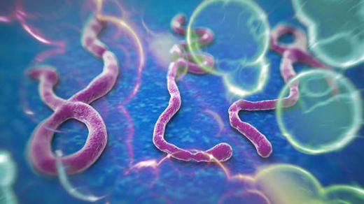 Ebola